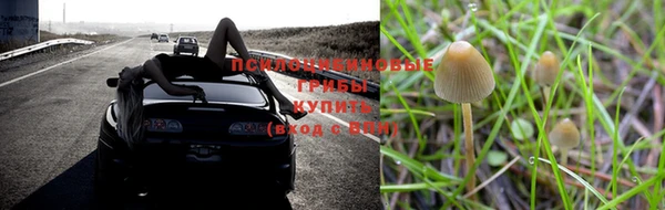 гидропоника Армянск